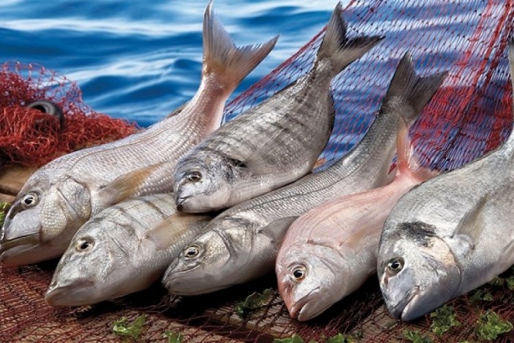 Karadeniz'den 22 &uuml;lkeye 96,5 milyon dolarlık ihracat