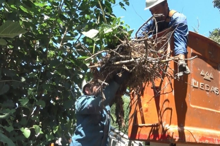 Bursa'da leyleğin yardımına UEDAŞ ekipleri yetişti