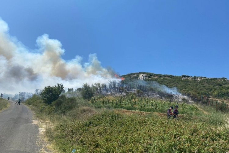 Tekirdağ'da &ccedil;ıkan orman yangını kontrol altında