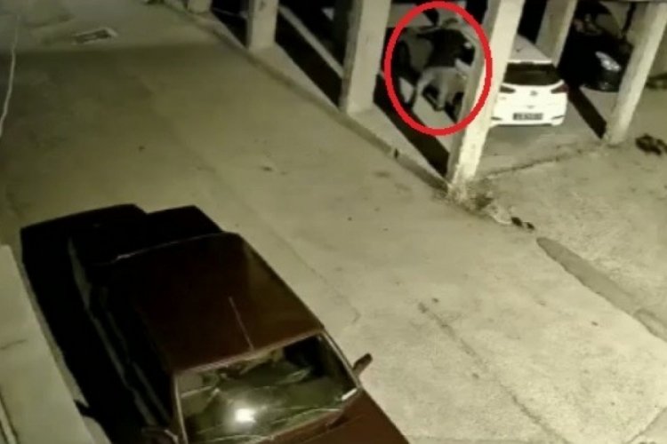 Bursa'da otomobili g&ouml;z&uuml;ne kestiren hırsıza alarm engeli