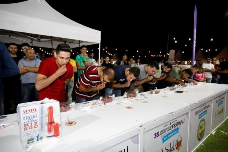 Bursa'da '&Ccedil;ilek Yeme Yarışması' festivale renk kattı
