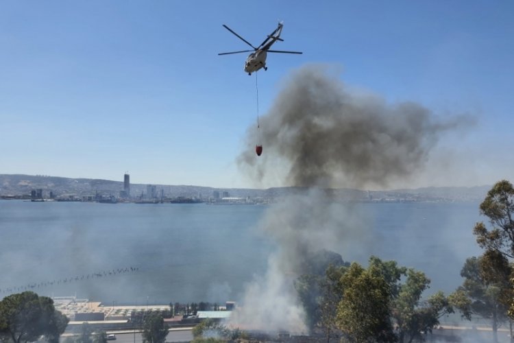 İzmir'de otluk alanda yangın