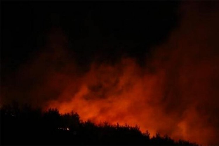 Adana'da orman yangını meydana geldi