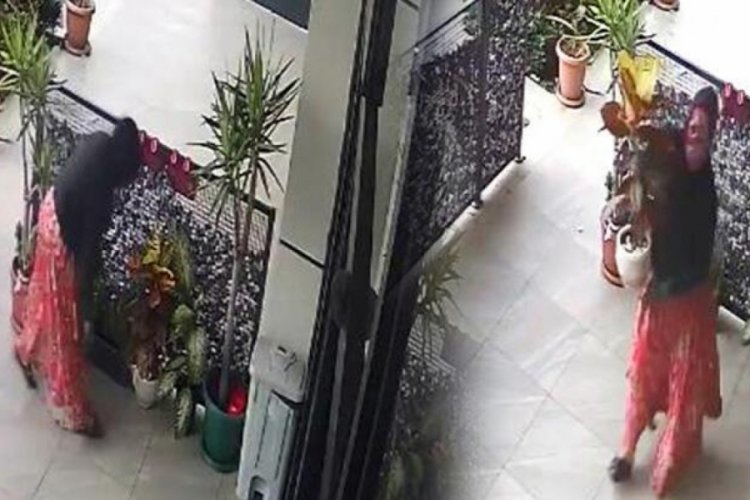 İstanbul'da şok eden hırsızlık