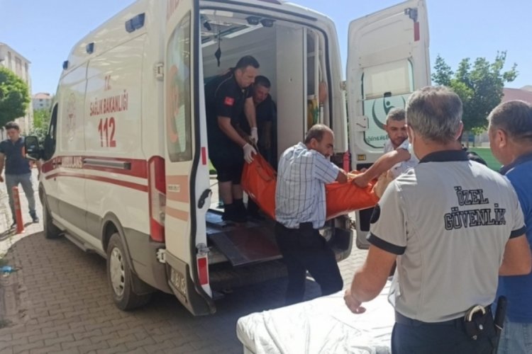 Yeğenini kurtarmak istedi, ikisi birden canından oldu