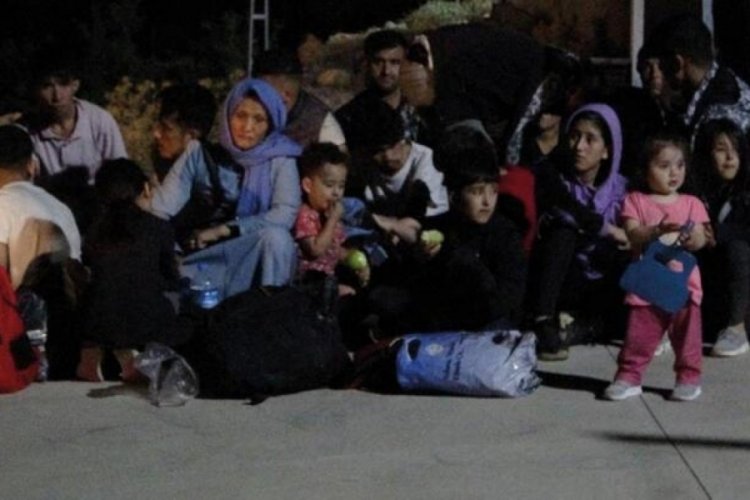 Muğla'da 100'&uuml;n &uuml;st&uuml;nde d&uuml;zensiz g&ouml;&ccedil;men yakalandı