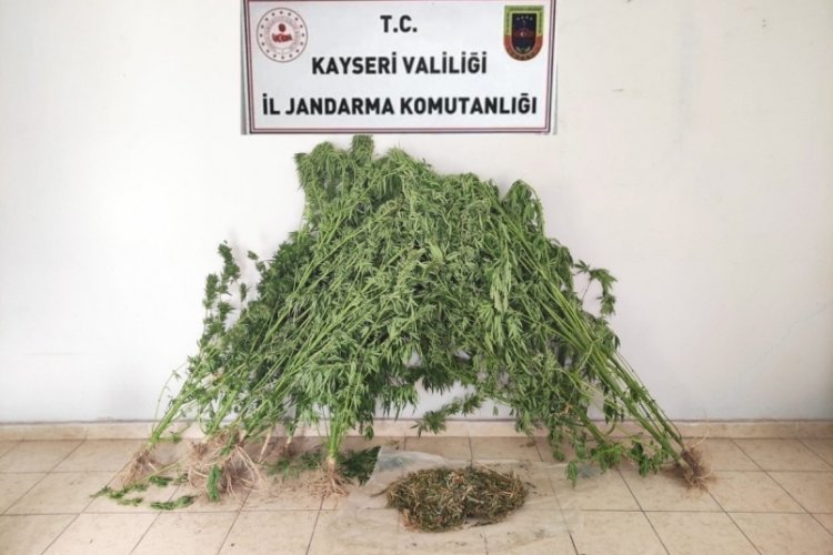 Jandarmadan uyuşturucu operasyonu: 1 g&ouml;zaltı