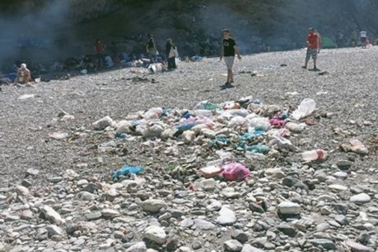 Tarihi alana gelişi g&uuml;zel atılan &ccedil;&ouml;plere tepki