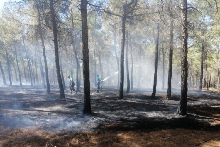 Bur&ccedil; ormanlarında &ccedil;ıkan yangın s&ouml;nd&uuml;r&uuml;ld&uuml;