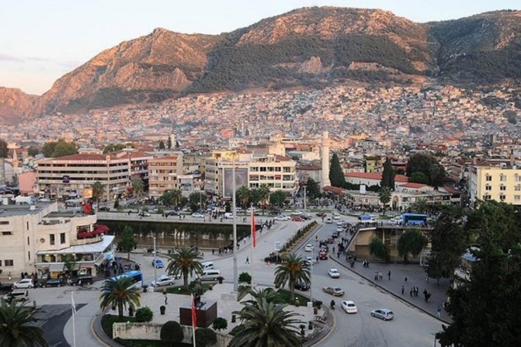 Hatay'daki d&ouml;v&uuml;l&uuml;p yakılan yavru k&ouml;pekler i&ccedil;in soruşturma a&ccedil;ıldı