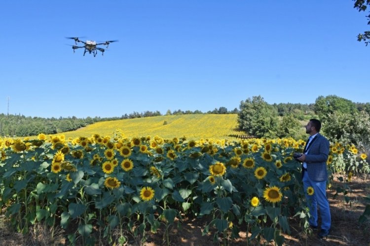 Bursa Kestel'de &ccedil;ayır tırtılı istilasına dronlu &ouml;nlem