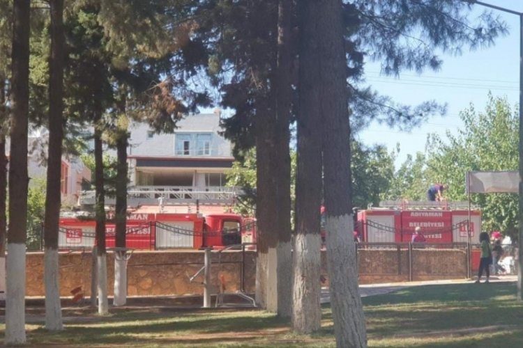 Ağa&ccedil;ta mahsur kalan kedi itfaiye tarafından kurtarıldı