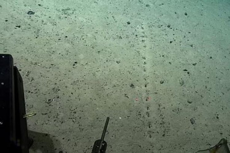Y&uuml;zeyin 4 kilometre altında keşfedildi!