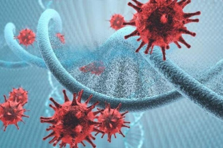 D&uuml;nya Hepatit G&uuml;n&uuml; nedir? D&uuml;nya Hepatit G&uuml;n&uuml; ne zaman?
