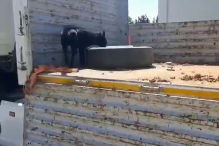 41 kilo metamfetamin ile 6,4 kilo eroin ele ge&ccedil;irildi