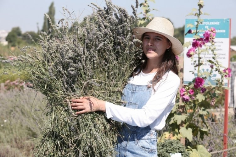 Bursa Nil&uuml;fer'in Tıbbi-Aromatik Projesi'ne BEBKA'dan hibe