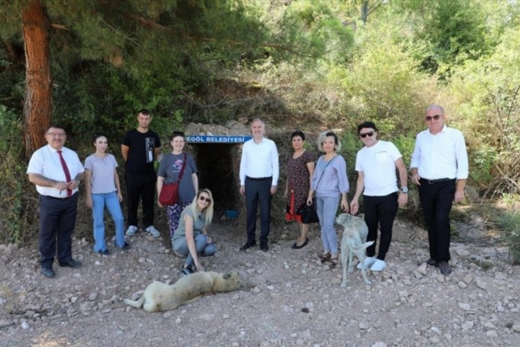 Bursa İneg&ouml;l'de sokak canlıları i&ccedil;in doğal yaşam alanları oluşturuldu