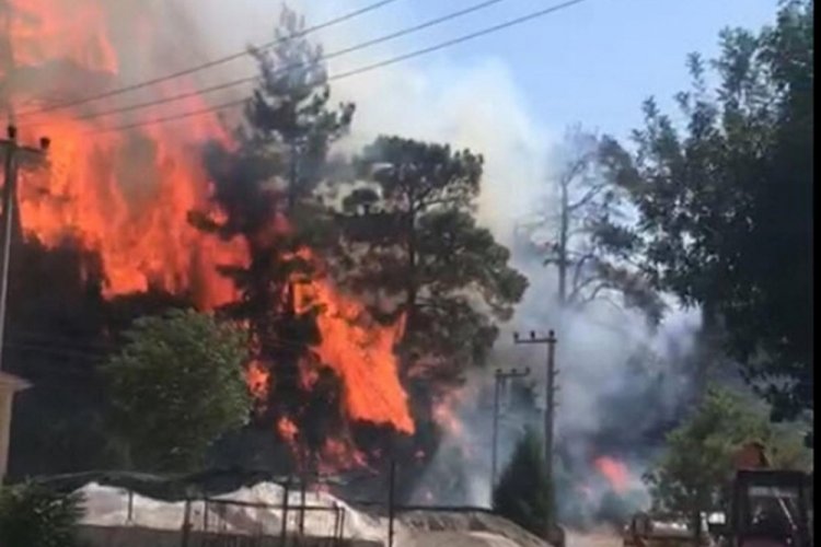 Marmaris'teki orman yangını kontrol altına alındı