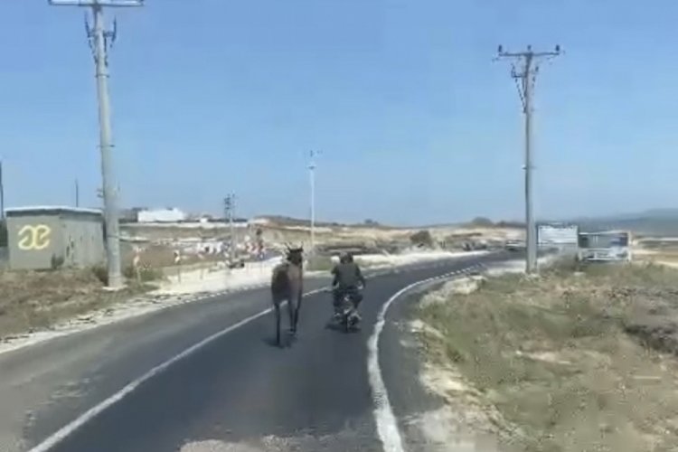 Bursa'da atı motosikletine bağlayarak g&ouml;t&uuml;rd&uuml;