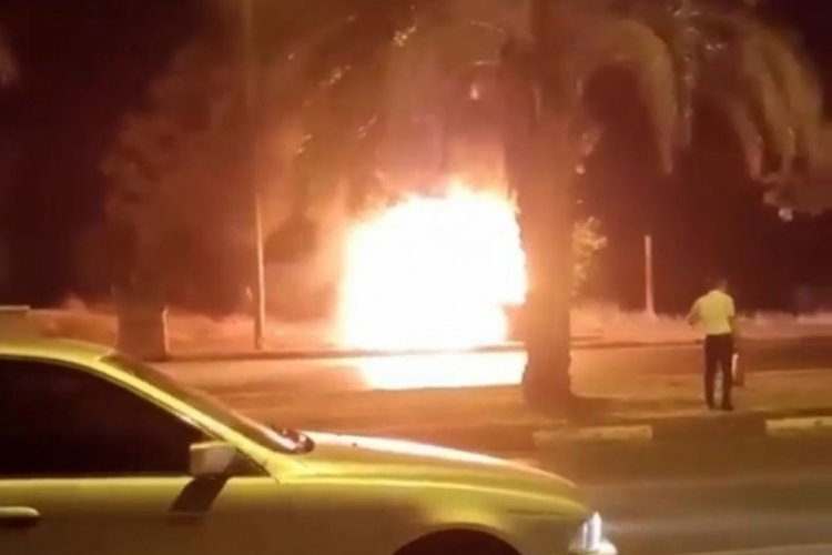 Ağaca &ccedil;arpan otomobil s&uuml;r&uuml;c&uuml;s&uuml; hayatını kaybetti