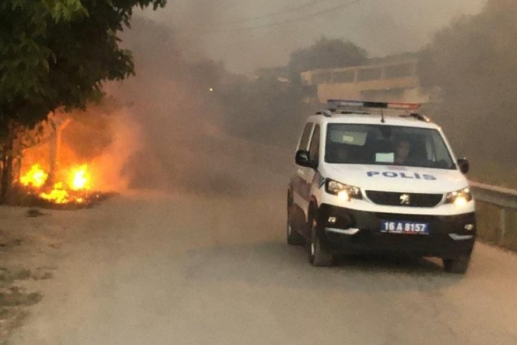 Bursa'da &ccedil;alılık alanda &ccedil;ıkan yangın korkuttu!