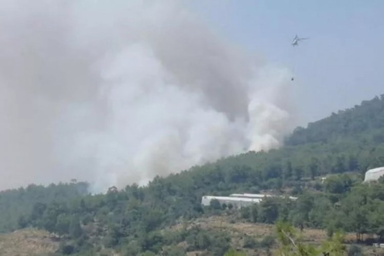T&uuml;rkiye'nin ciğerleri yanıyor! İzmir, Hatay ve Mersin'de orman yangını