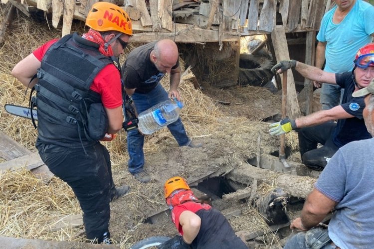 Bursa'da &ccedil;&ouml;ken ahırdaki hayvanlar telef oldu
