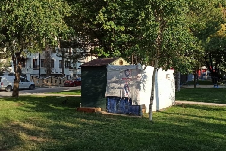 Kedi kul&uuml;besinde '&ccedil;iğ et' uyarısı