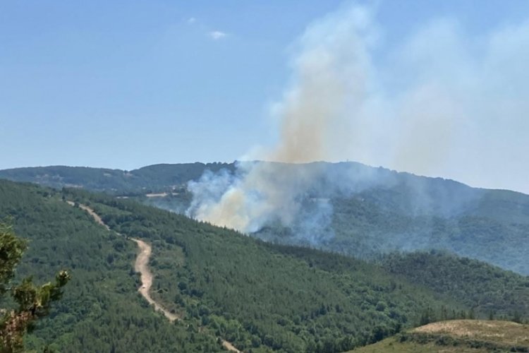 &Ccedil;anakkale'de &ccedil;ıkan orman yangını kontrol altında