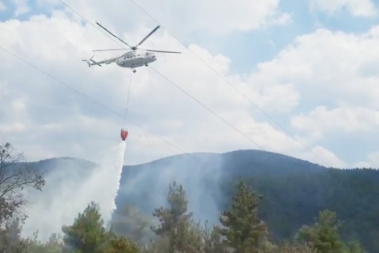 K&uuml;tahya'da orman yangını kısa s&uuml;rede s&ouml;nd&uuml;r&uuml;ld&uuml;