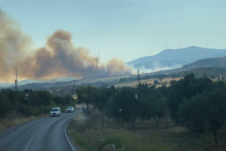 İzmir'de, tarım alanında yangın &ccedil;ıktı