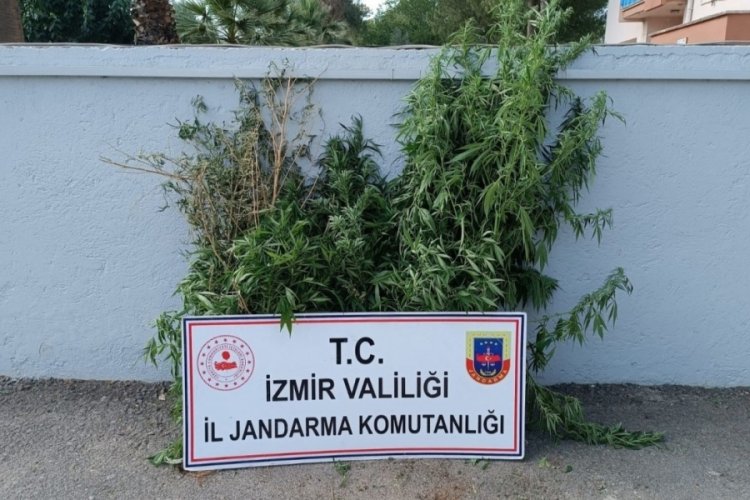 Yapılan uyuşturucu baskınlarında 27 ş&uuml;pheli yakalandı