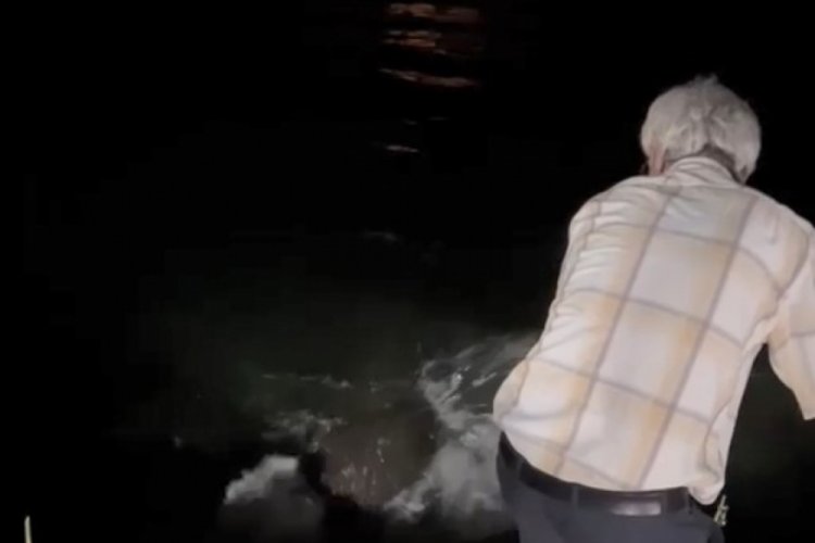 Ka&ccedil;ak avlanıp deniz kaplumbağasına zarar verdiler