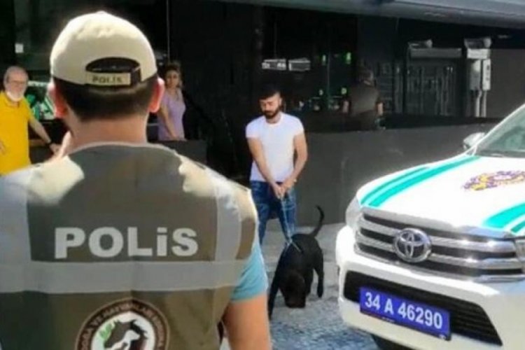 Yasaklı cins k&ouml;pek Husky'e saldırdı