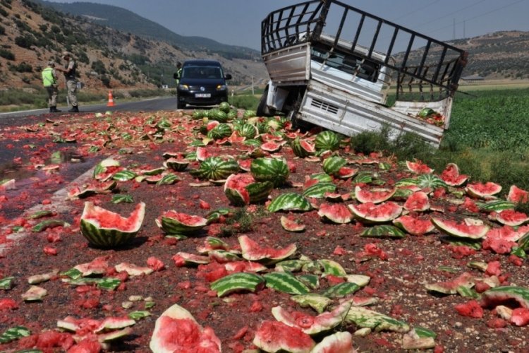 Şarampole devrilen kamyonetteki baba- oğul yaralandı, tonlarca karpuz &ccedil;evreye sa&ccedil;ıldı