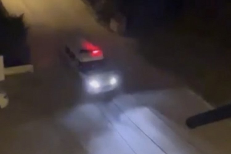 Bursa'da polis domuzu sirenle kovaladı