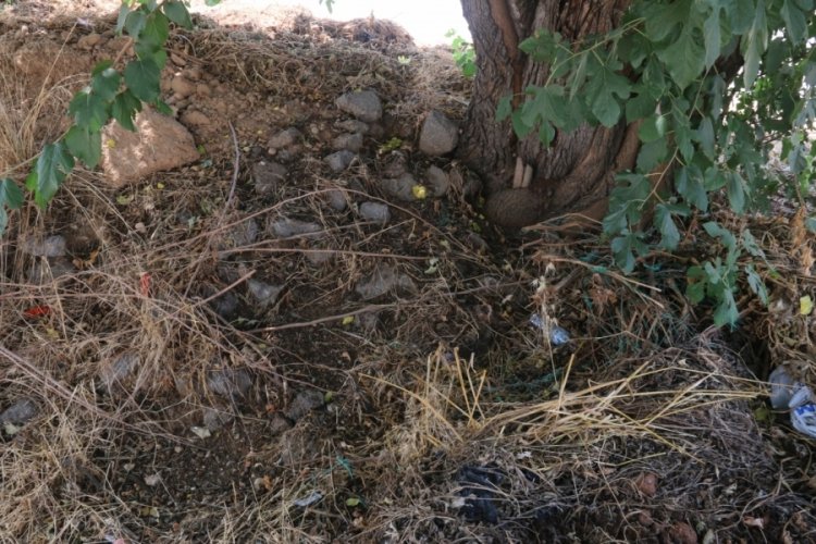 Ağa&ccedil; altında bebek bulundu