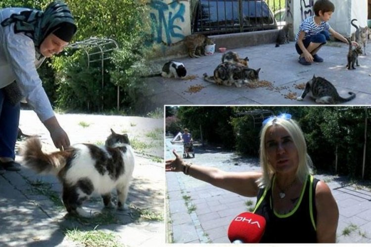 Sokakta kedi besledikleri i&ccedil;in darbedildiler iddiası