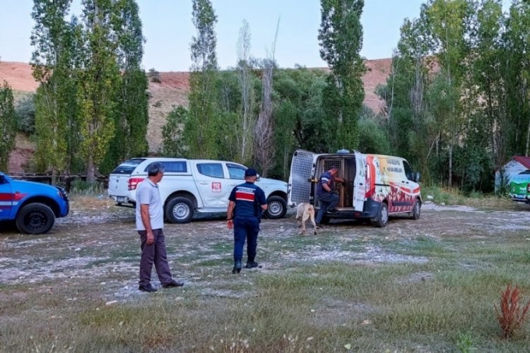 Hayvanları a&ccedil; ve susuz bırakmanın cezası ağır oldu