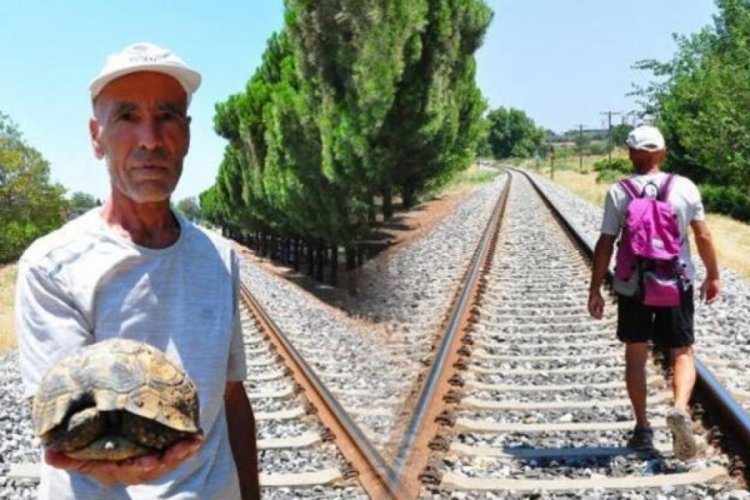 Manisa'da kaplumbağalar &ouml;lmesin m&uuml;cadelesi