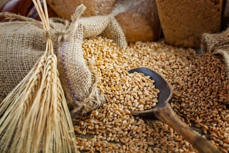 Tohumluk buğday fiyatları, un ve ekmek fiyatlarına yansıyacak mı?