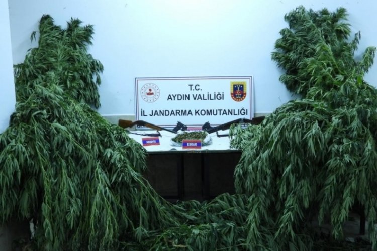 Aydın'da uyuşturucu ile m&uuml;cadele: 5 kişi tutuklandı