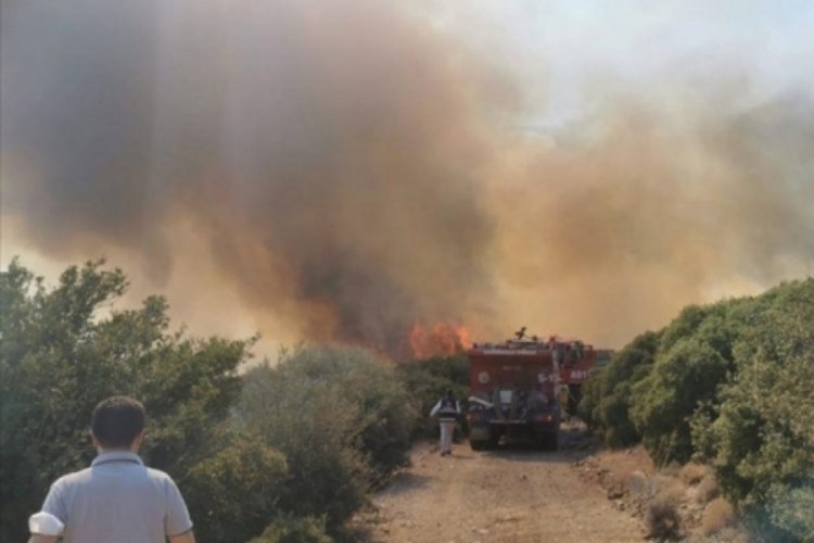 &Ccedil;anakkale'de orman yangını &ccedil;ıktı
