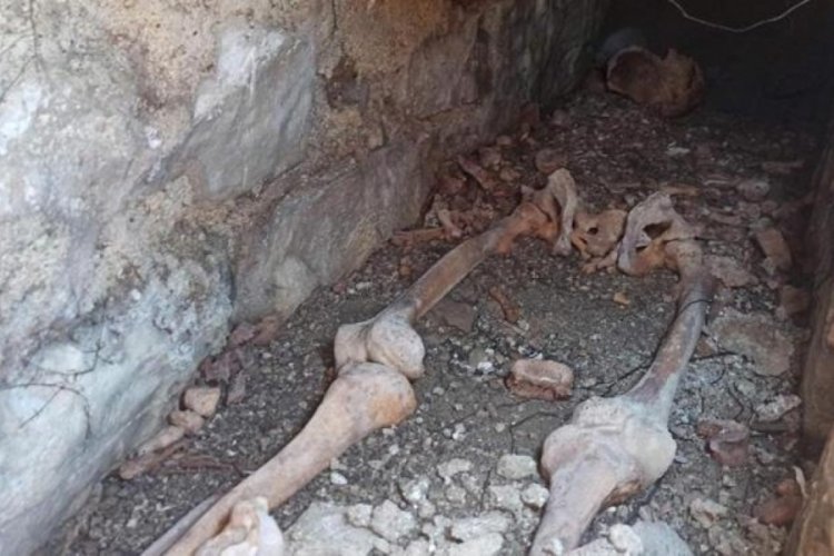 30 yıl &ouml;nce vefat eden kuzeninin mezarını ararken buldu!
