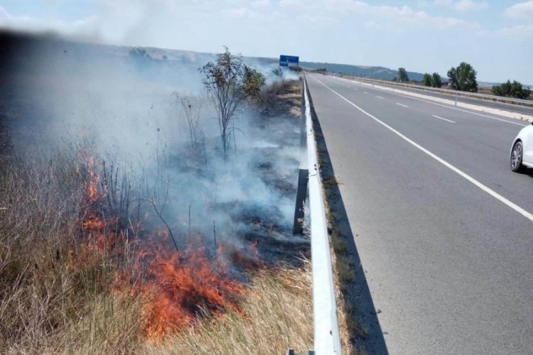 Sigara izmariti yangına neden oldu