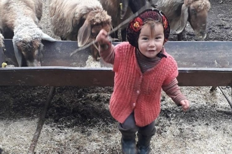 M&uuml;sl&uuml;me Yağal'ın tutuklu dedesi hakim karşısına &ccedil;ıktı