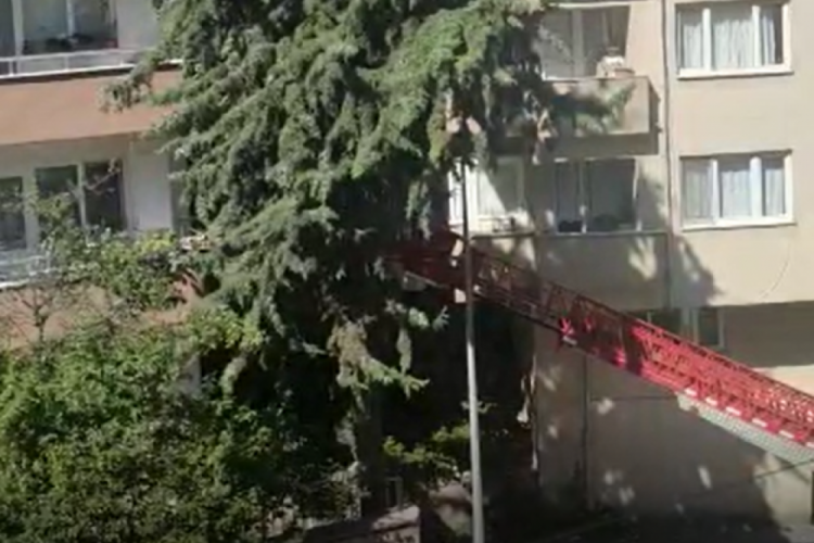 Bursa'da Mudanya'daki ağa&ccedil; katliamı iddiasına Belediye'den yanıt