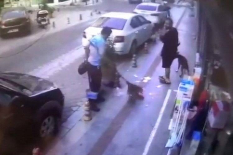 K&ouml;peğine toz geldiği gerek&ccedil;esiyle temizlik g&ouml;revlisini d&ouml;vd&uuml;