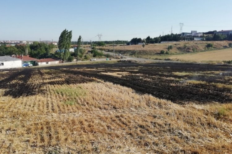 Anız yangınında 10 d&ouml;n&uuml;ml&uuml;k alan zarar g&ouml;rd&uuml;