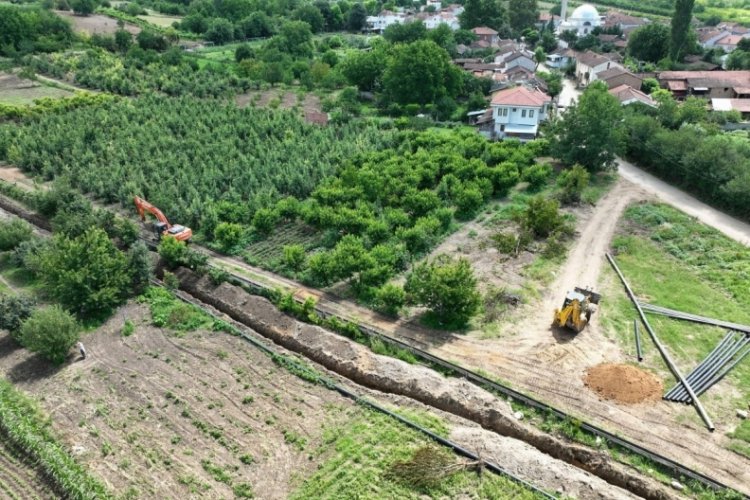 Bursa tarımına b&uuml;y&uuml;k katkı sağlayacak proje
